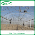 Hot galvanized with zinc coated arch pipes greenhouse for wholesale